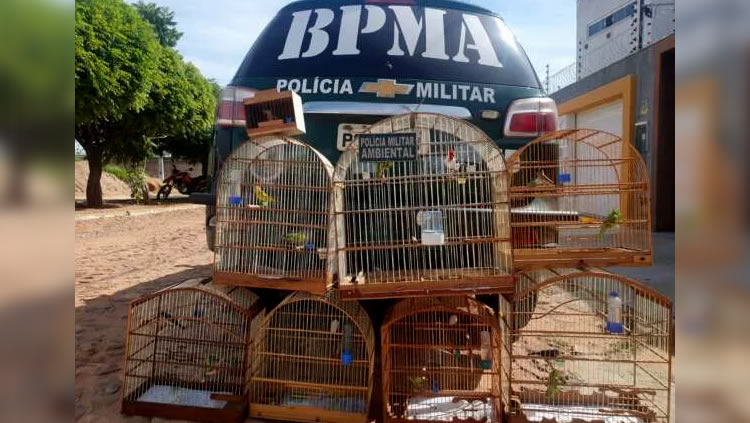 Sete aves silvestres são resgatadas no Crato; Uma delas ameaçada de extinção