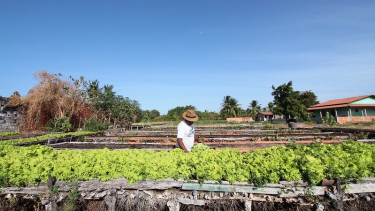BNB oferece descontos para 47 mil agricultores cearenses quitarem dívidas