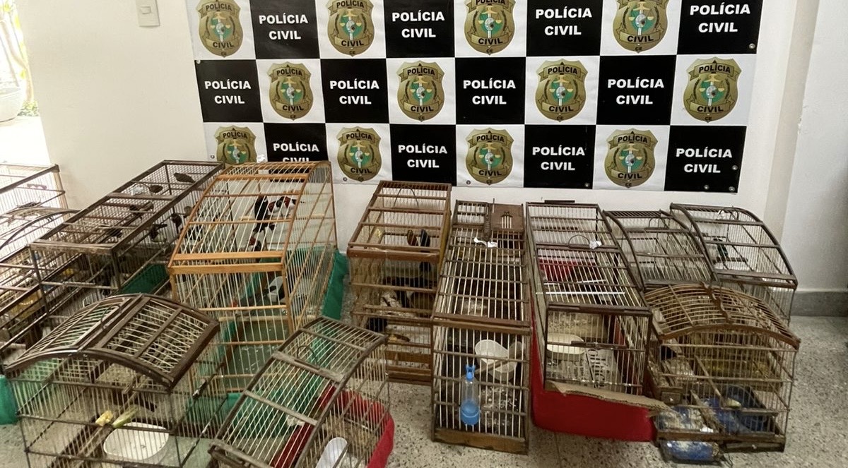Homem é detido com 79 aves silvestres no Ceará