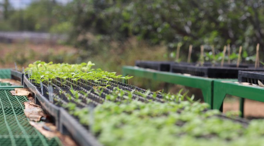 UFCA abre seleção para Mestrado em Desenvolvimento Regional Sustentável