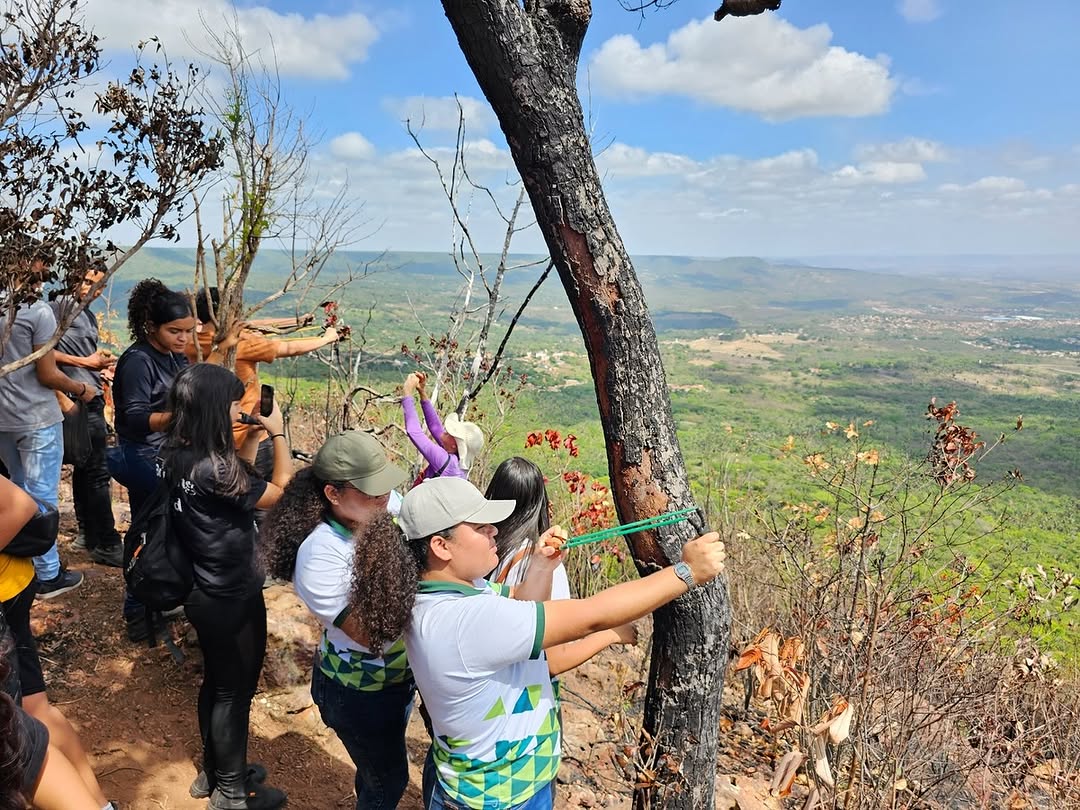 Ação usa baladeiras para disparar 500 bombas de sementes em área devastada por incêndio na Chapada do Araripe